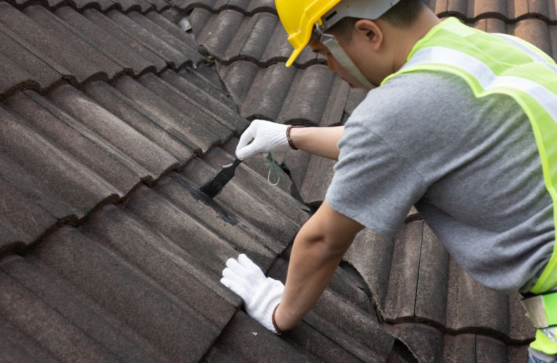 Expert Roof Repair